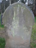 image of grave number 504972